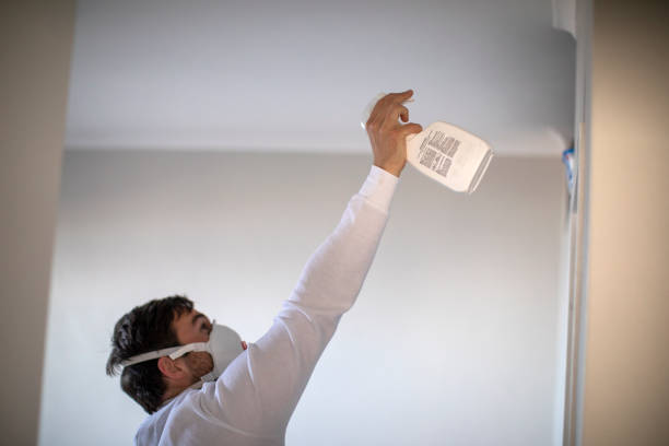 Best Certified Mold Removal  in West Dennis, MA