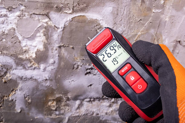 Best Same-Day Mold Removal  in West Dennis, MA